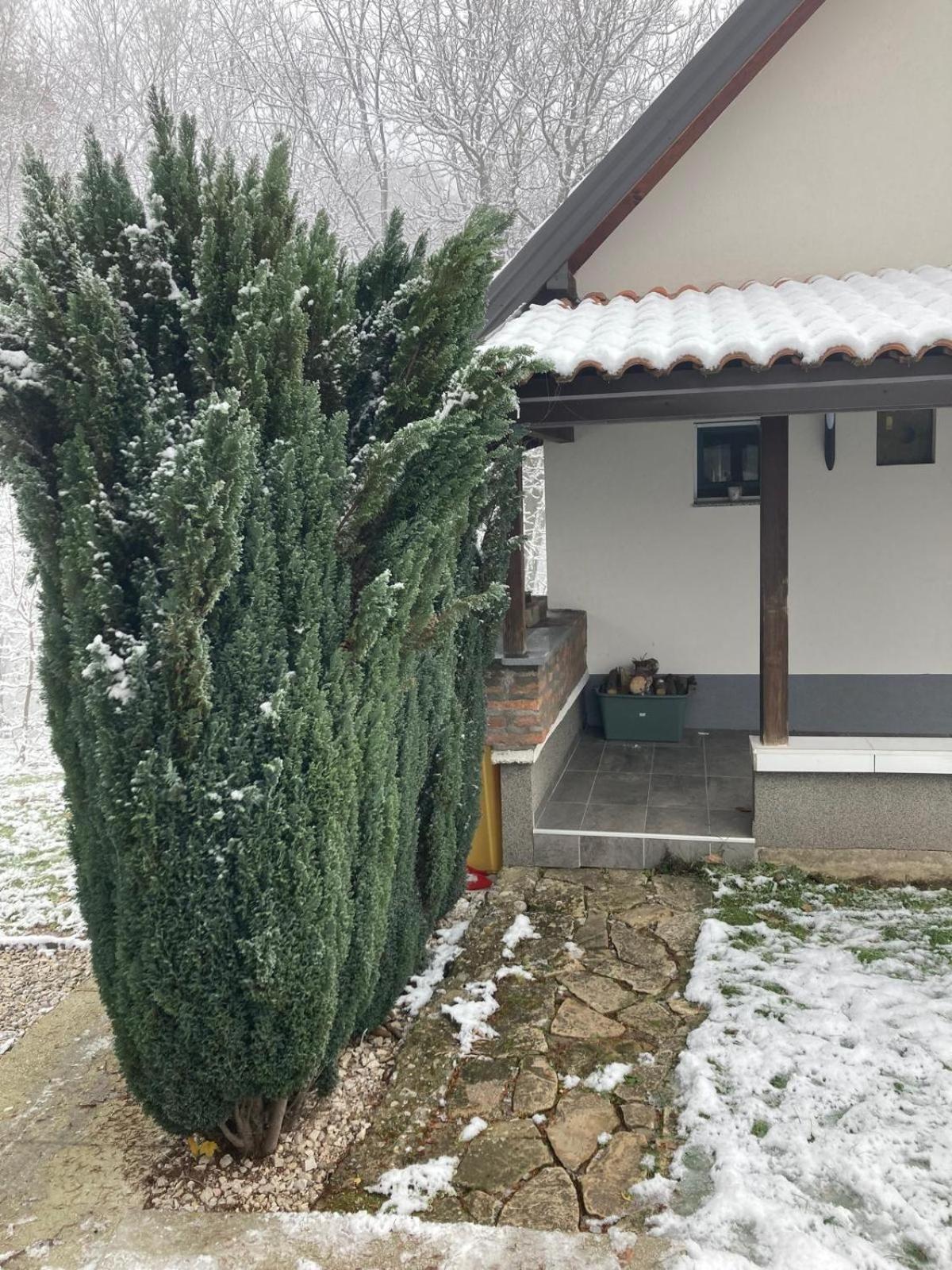 Holiday Home Tunnel Ravne Visoko Ngoại thất bức ảnh
